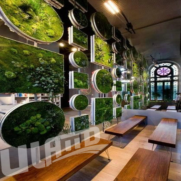 相框式永生苔蘚裝飾