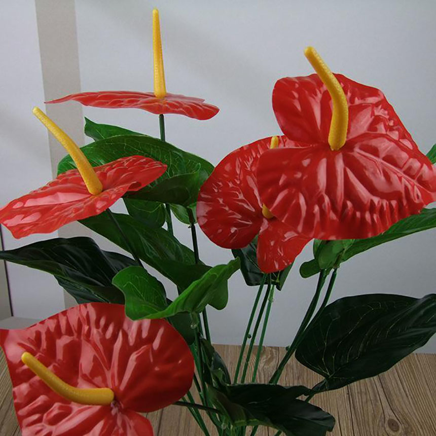 仿真植物紅掌