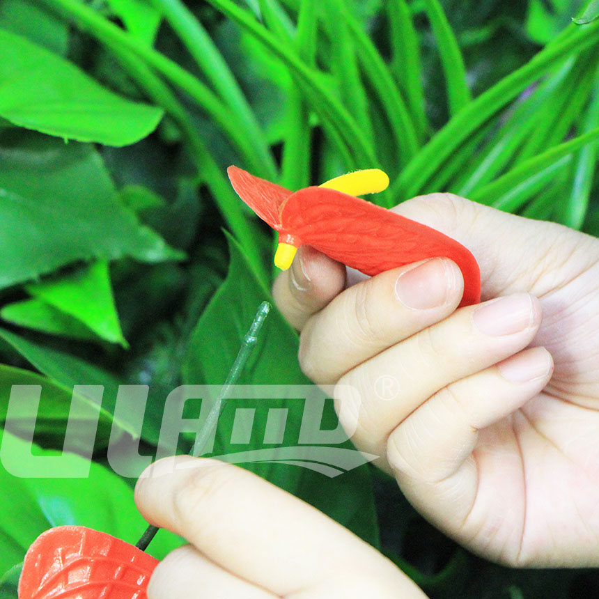 仿真植物紅掌細(xì)節(jié)圖