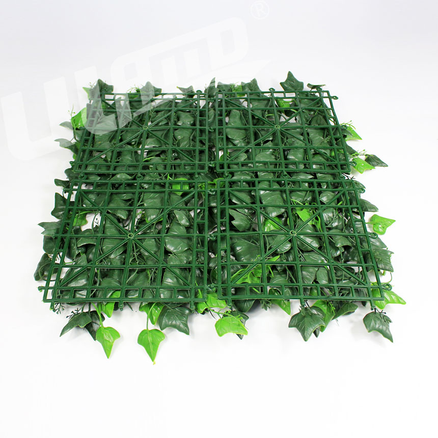 仿真植物地瓜葉背面