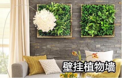 壁掛仿真植物