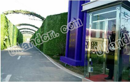 優(yōu)蘭德仿真植物墻