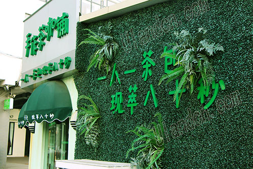 優蘭德私人訂制仿真植物墻