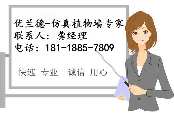 優蘭德,仿真植物墻專家!