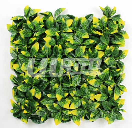 帶齒橘葉-仿真植物