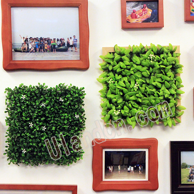 優(yōu)蘭德Ulandcn,仿真植物墻專家!