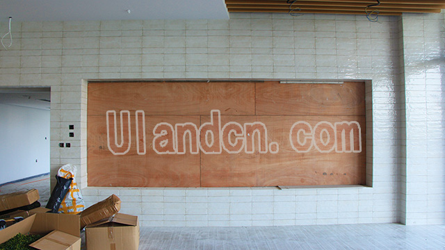 優(yōu)蘭德Uland,仿真植物墻專家!