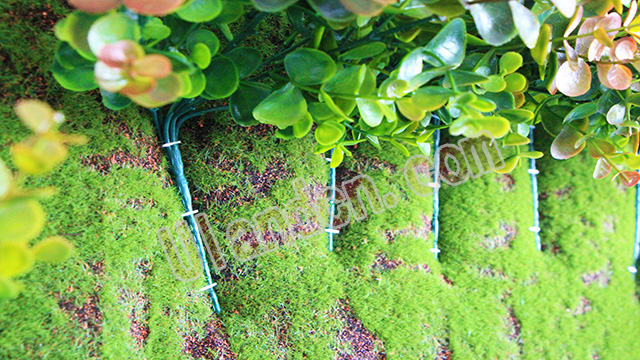 優(yōu)蘭德Uland,仿真植物墻專家!