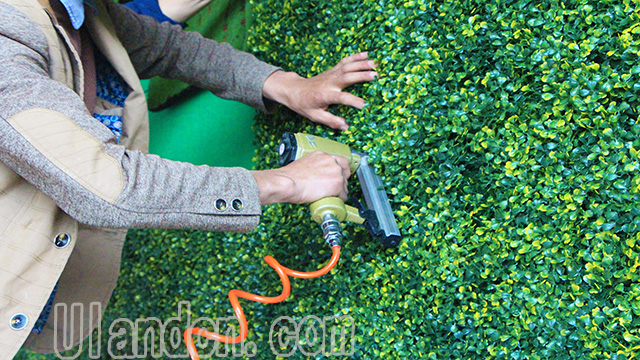 優(yōu)蘭德Uland,仿真植物墻專家!