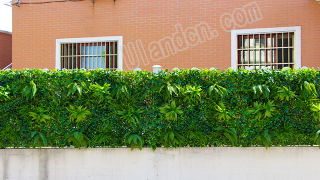 優蘭德Ulandcn,仿真植物墻專家!