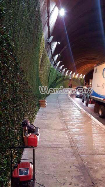 優(yōu)蘭德Uland,仿真植物墻專家!