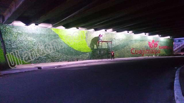 優(yōu)蘭德Uland,仿真植物墻專家!