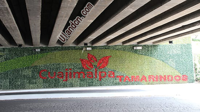 優蘭德Uland,仿真植物墻專家!