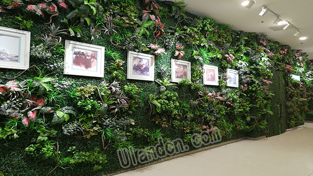仿真植物墻廠家-優蘭德