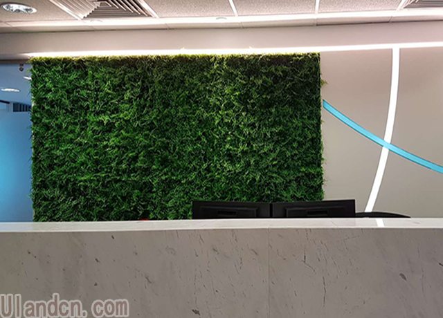 仿真植物墻品牌-優蘭德