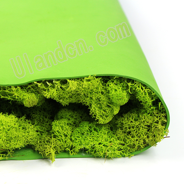 永生苔蘚品牌-優蘭德