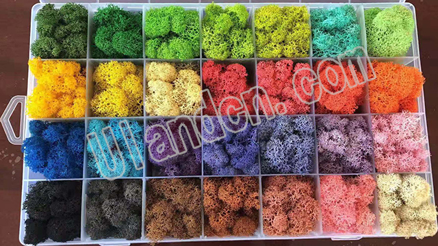 永生苔蘚品牌-優蘭德