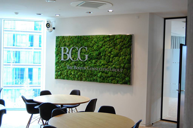 BCG公司永生苔蘚logo形象墻