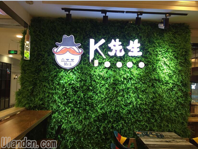 仿真植物墻上安裝發(fā)光logo