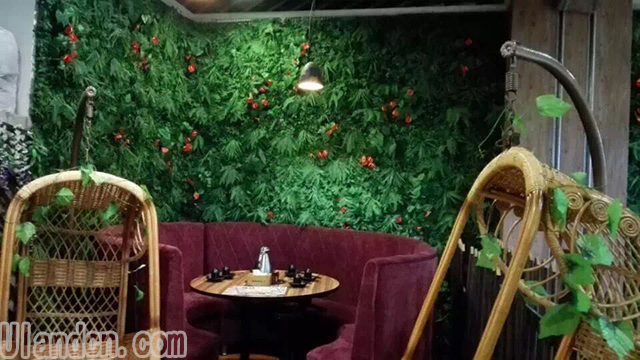 餐飲行業仿真植物墻