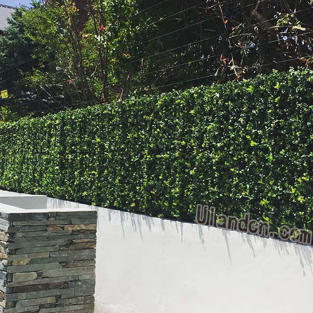 仿真植物墻廠家,優(yōu)蘭德!