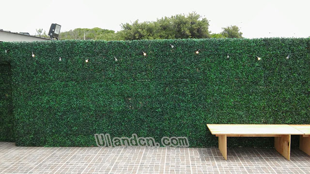 仿真植物墻廠家,優(yōu)蘭德!