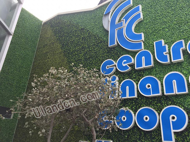 仿真植物墻廠(chǎng)家,優(yōu)蘭德