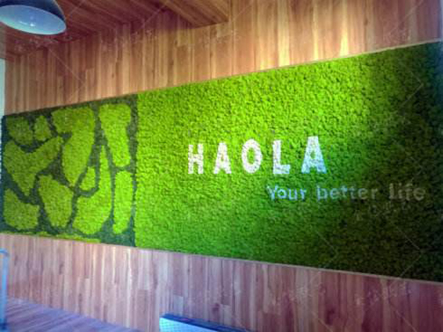 永生苔蘚植物墻