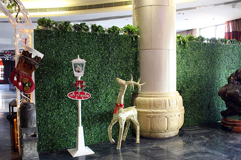 室內仿真植物效果圖