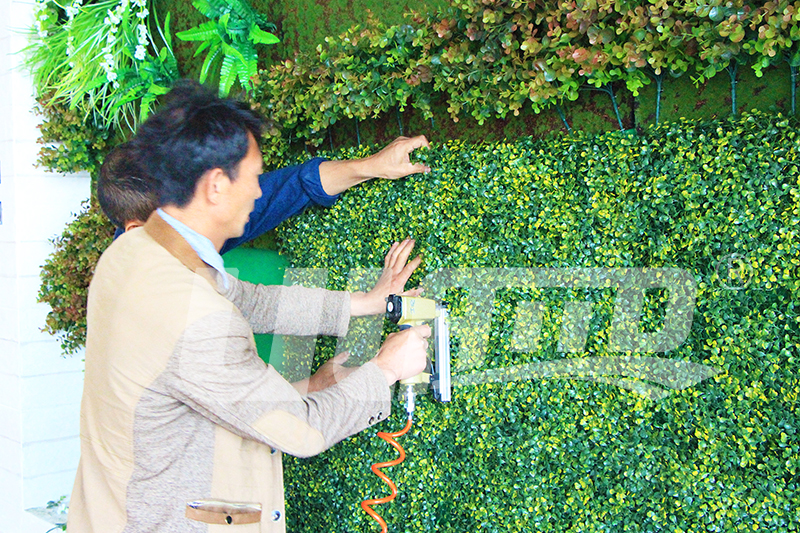 室內(nèi)仿真植物墻