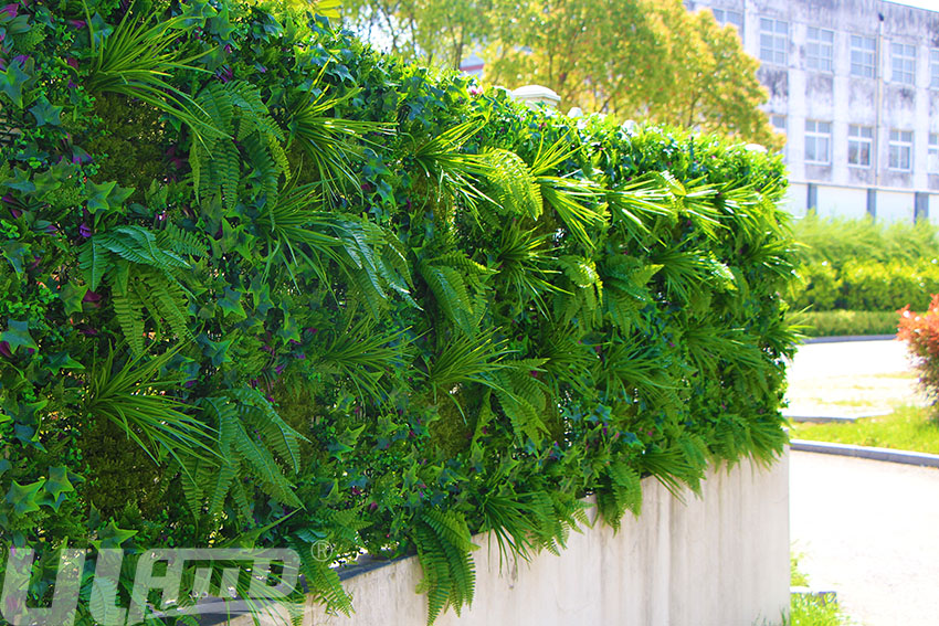 別墅圍墻仿真綠化
