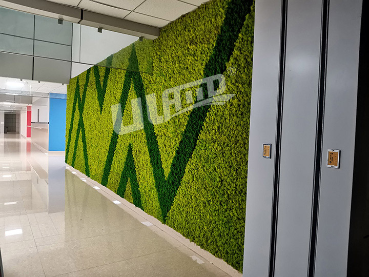 教學樓永生苔蘚墻案例