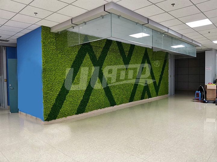 永生苔蘚墻效果圖