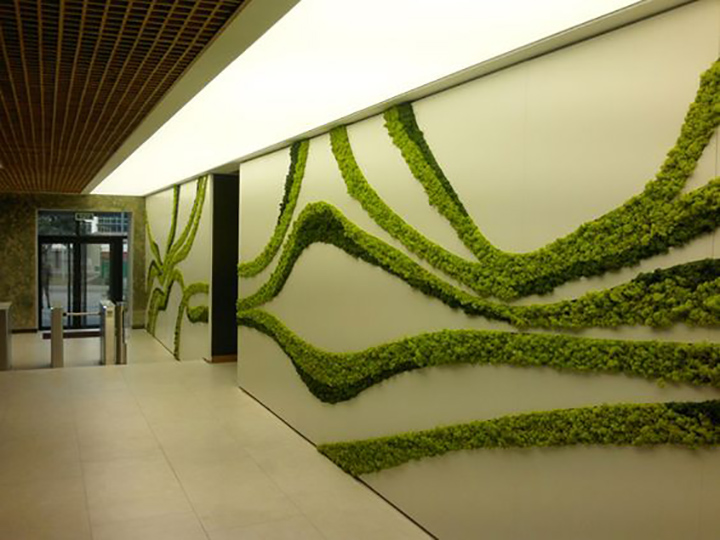 簡約風格的永生苔蘚裝飾墻面