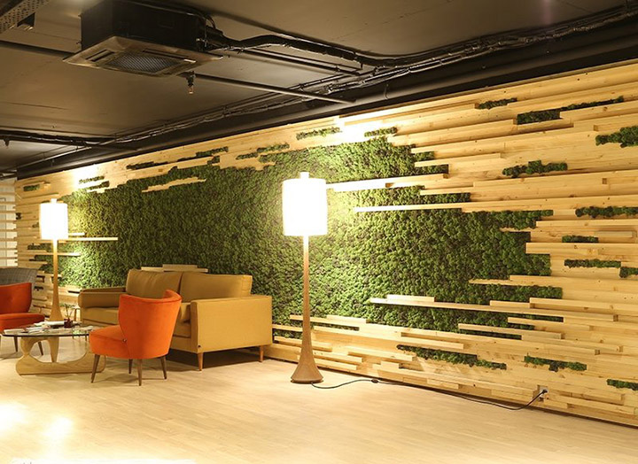 永生苔蘚植物裝飾墻面效果圖