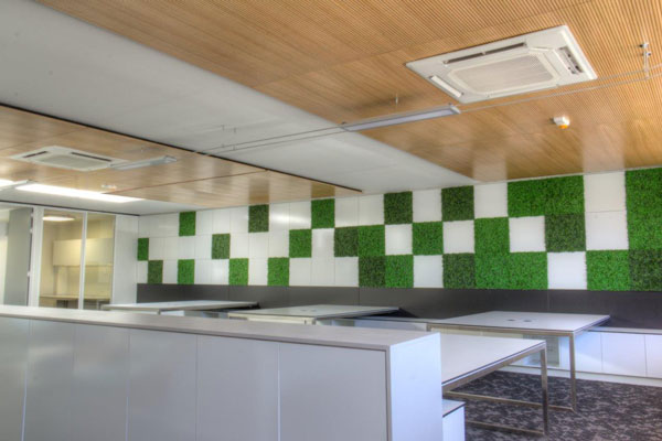 室內塑料綠植裝飾墻