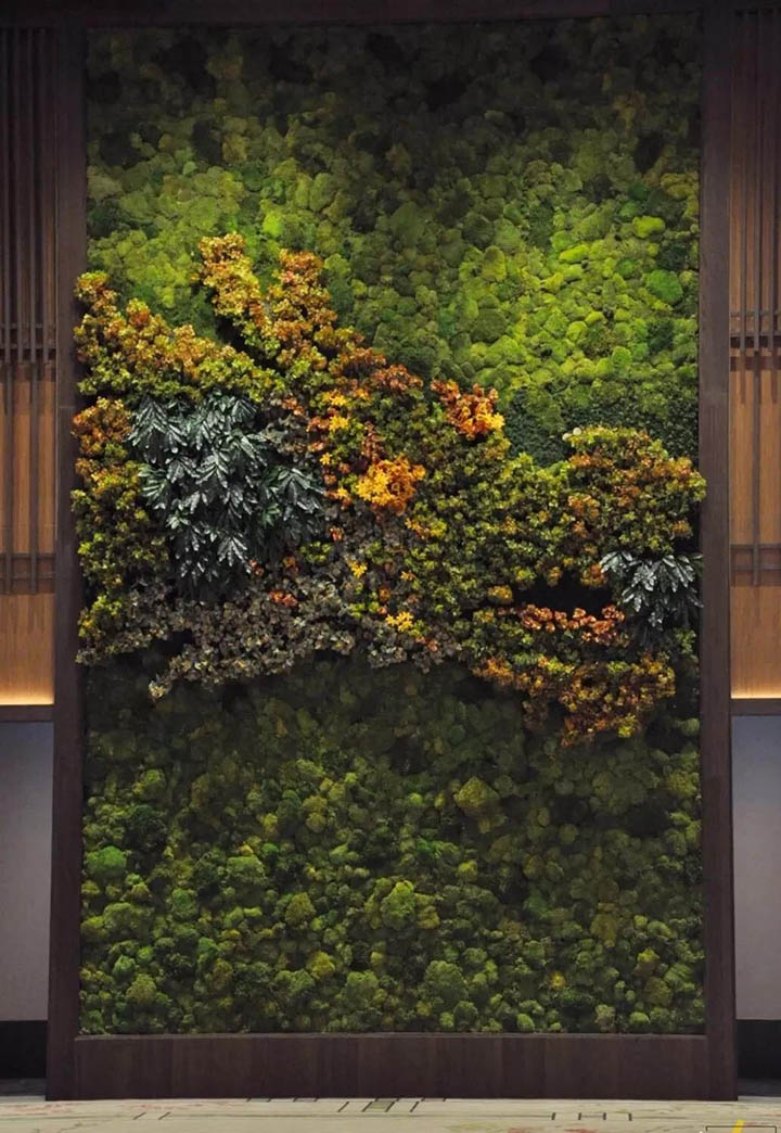 苔蘚植物墻加仿真植物