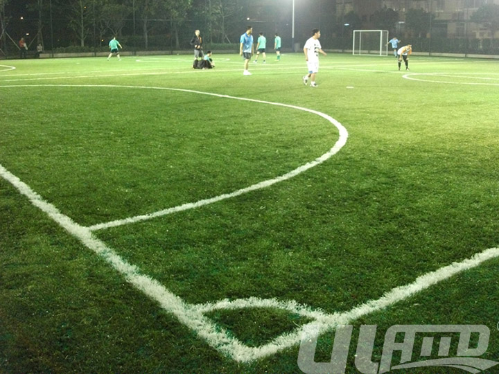 室外足球場仿真草坪