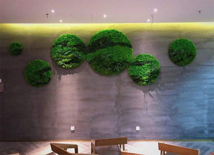 壁掛相框永生苔蘚