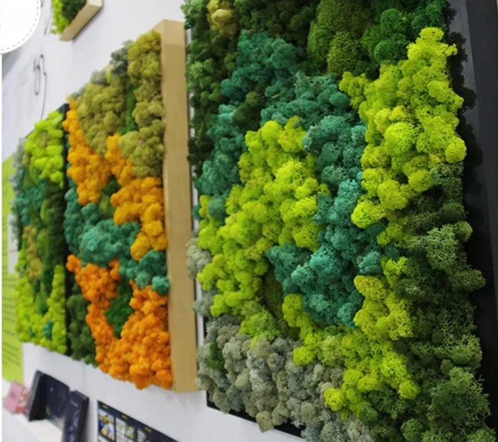 壁掛相框永生苔蘚