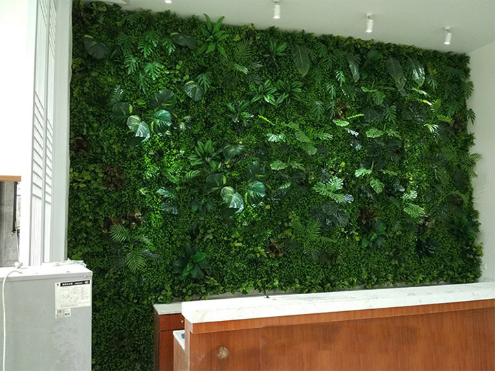 辦公室前臺垂直綠化植物墻