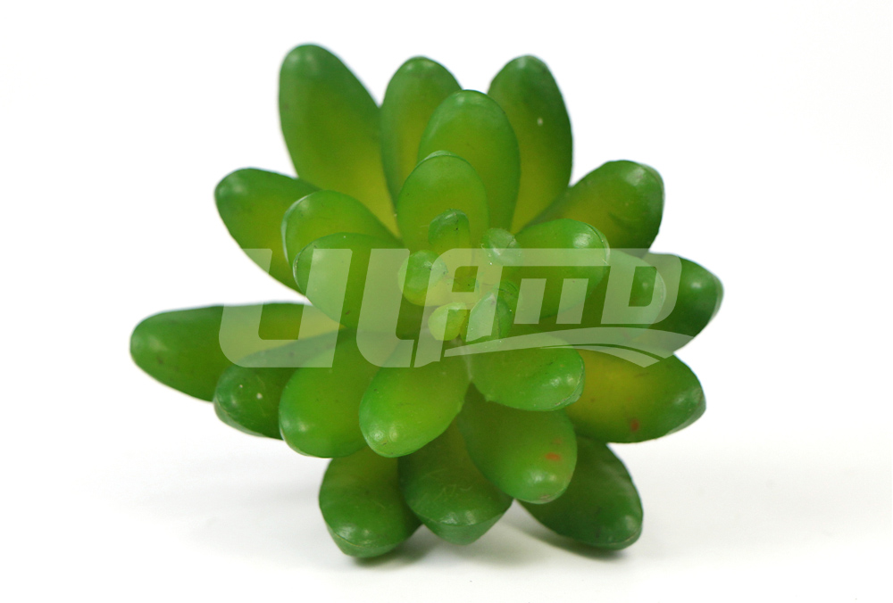 綠色版的仿真多肉
