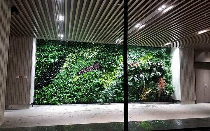 植物墻垂直綠化
