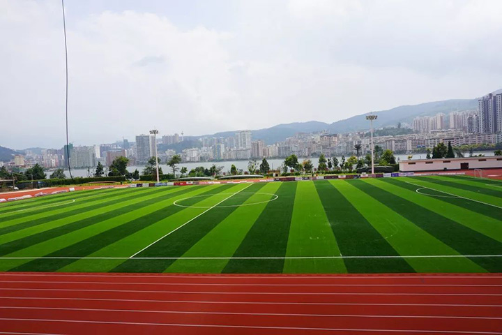 足球場仿真草坪