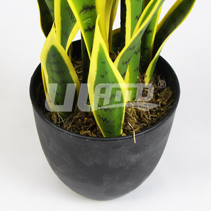 仿真小盆栽金邊虎尾蘭