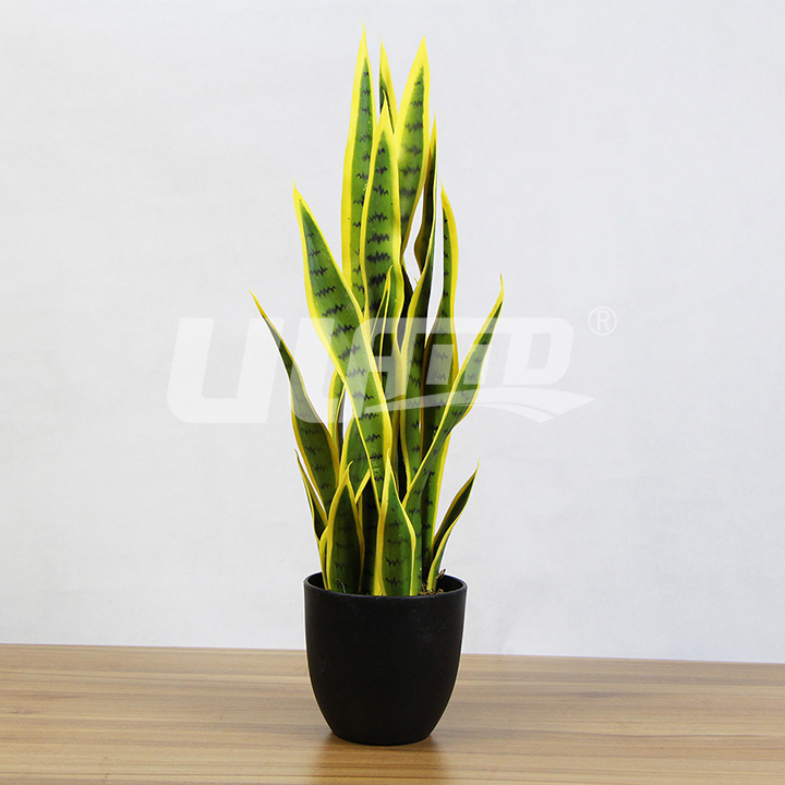 仿真小盆栽金邊虎尾蘭