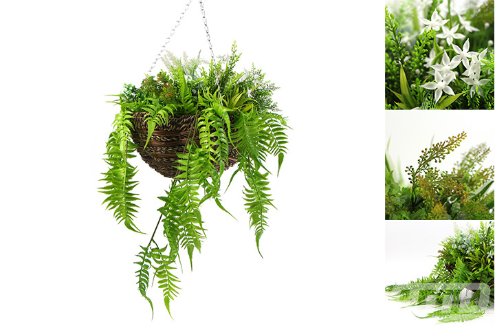 不會枯萎的植物吊籃