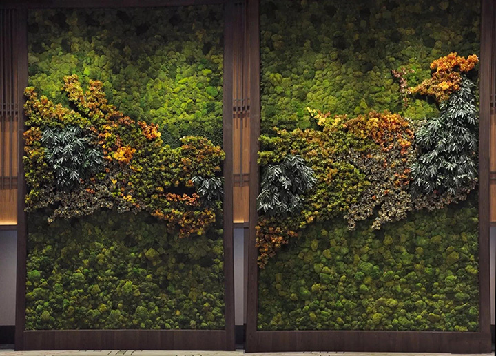 立體苔蘚植物墻