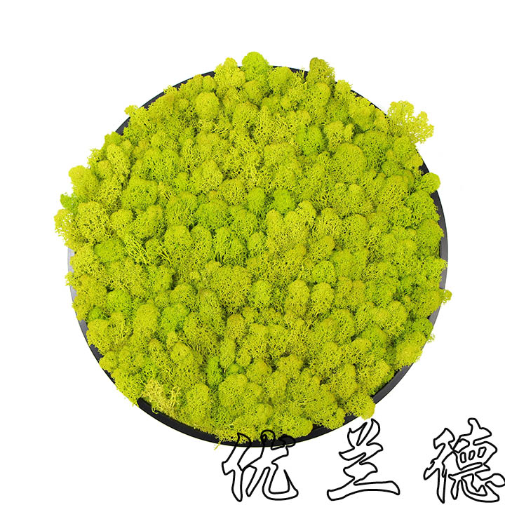 相框永生苔蘚墻面裝飾